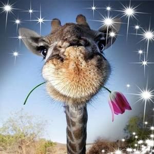 Meet your Posher, Kelli-sue